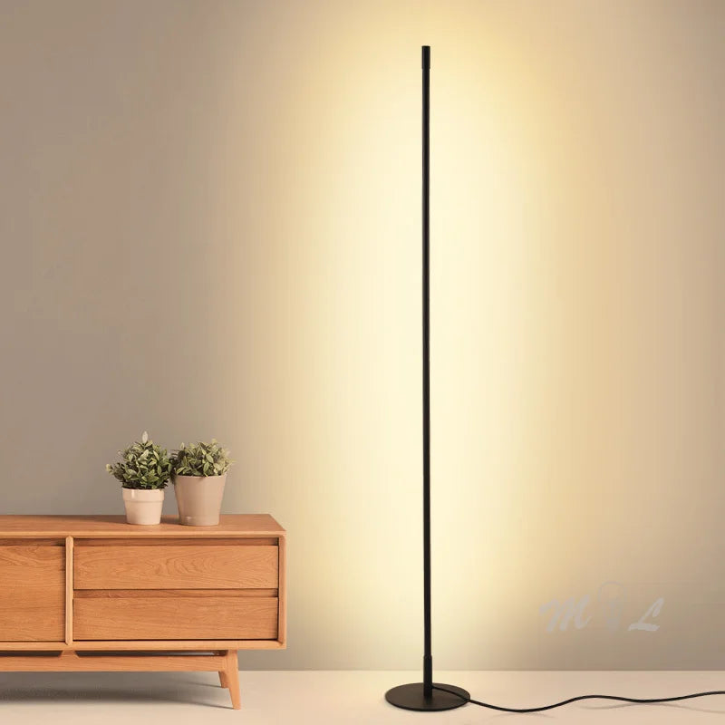 Modern LED Floor Lamp with Dimmable Function for Living Room