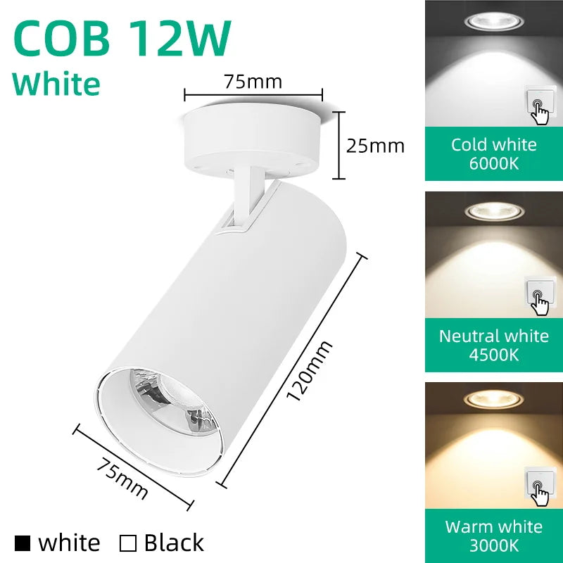 Modern Surface-Mounted LED Ceiling Spot Light