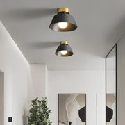Retro Iron LED Ceiling Light with Round Shade