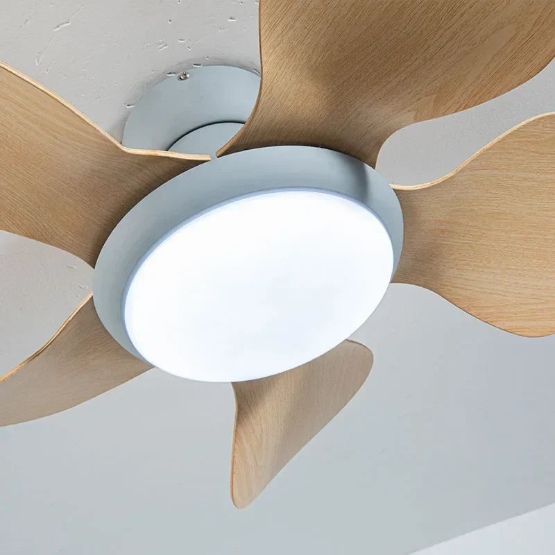 Modern Ceiling Fan with Remote Control for Home