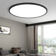 Modern LED Ceiling Light Fixture 48W 36W 24W for Bedroom, Kitchen, Bathroom, Dining Room