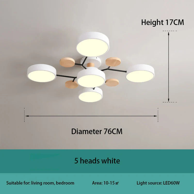 Modern Decorative Indoor LED Ceiling Light