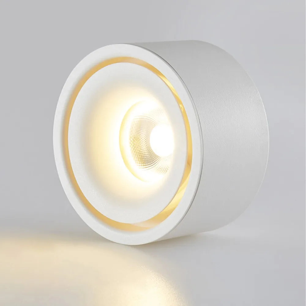 Surface Mount LED Spotlight with Anti-Glare Design