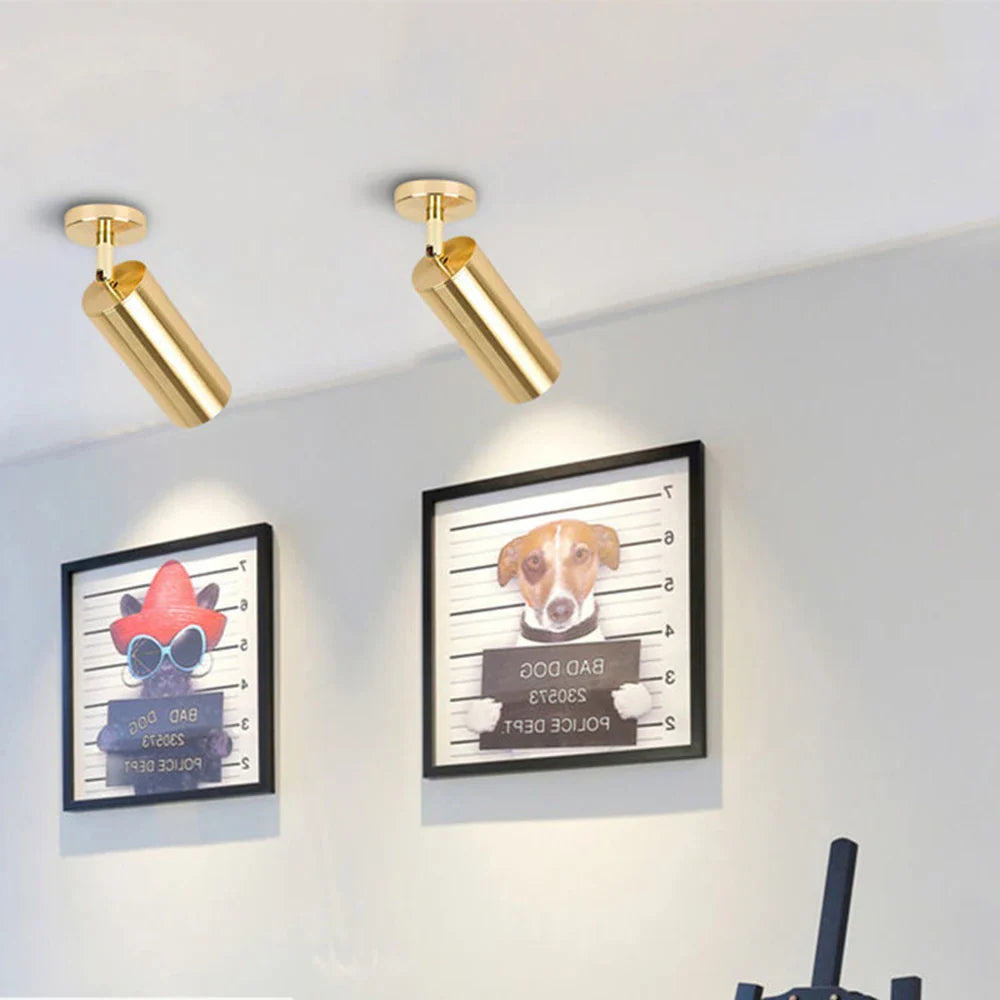 Gold Aluminum LED Spotlight for Modern Interior Lighting