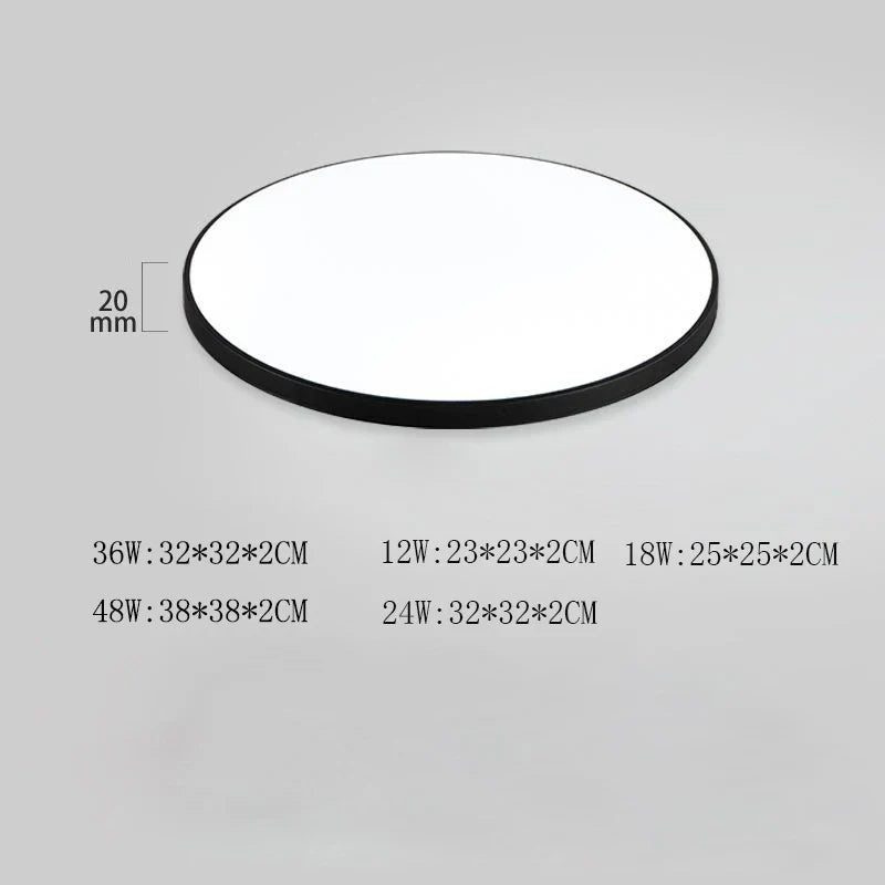 Modern LED Ceiling Light Fixture 48W 36W 24W for Bedroom, Kitchen, Bathroom, Dining Room