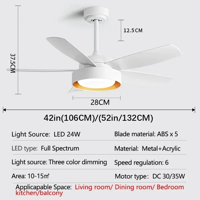 Modern Ceiling Fan with Light for Summer