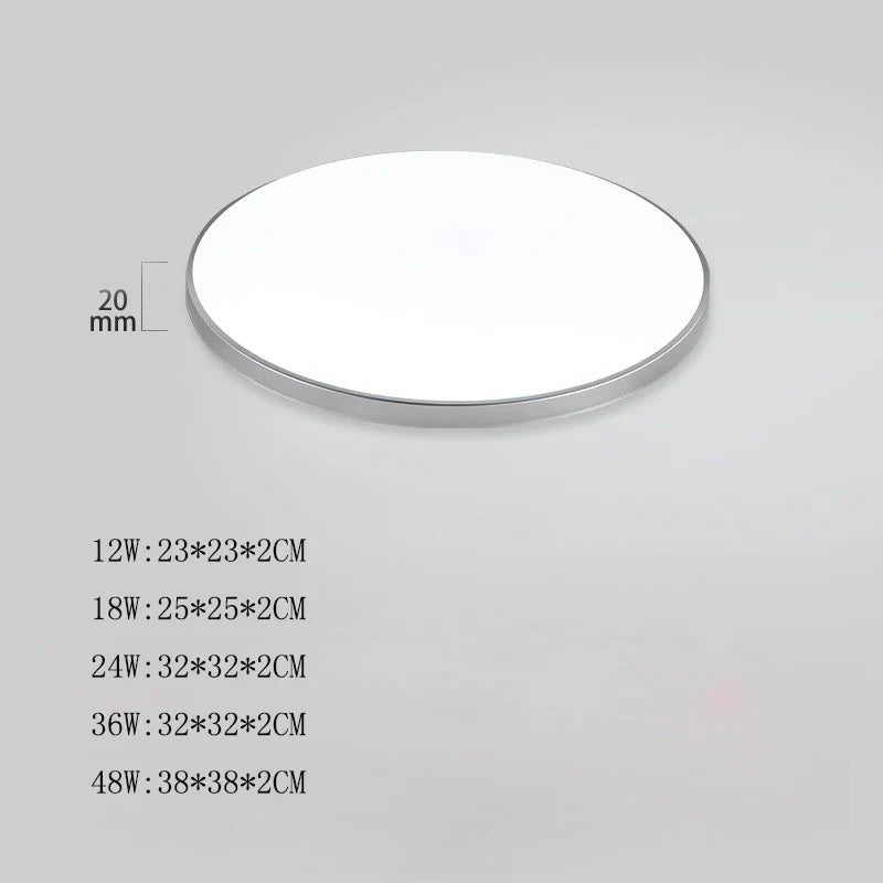 Modern LED Ceiling Light Fixture 48W 36W 24W for Bedroom, Kitchen, Bathroom, Dining Room