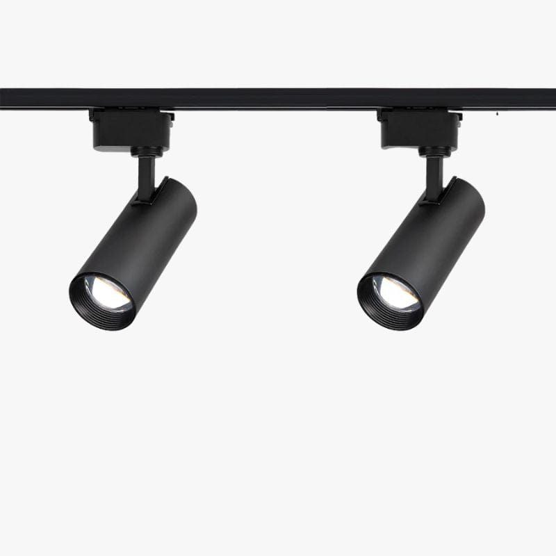 Adjustable Intensity Modern Rail Spot Light for Interior Design 2 lights Norenza