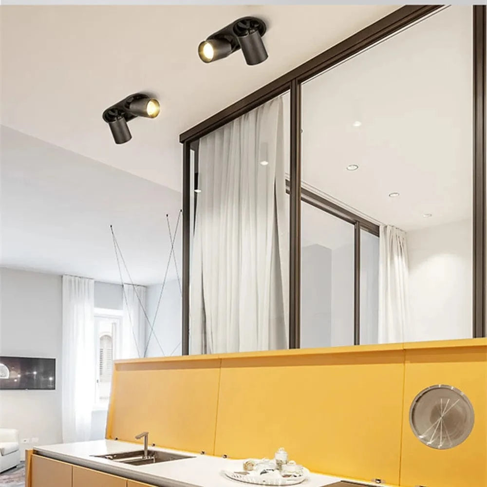 Adjustable Recessed LED Spot Light for Indoor Illumination Black / 2 lights Norenza