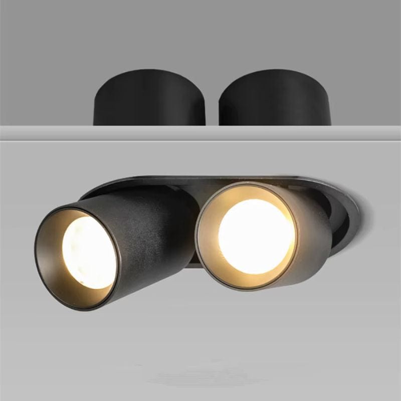 Adjustable Recessed LED Spot Light for Indoor Illumination Black / 2 lights Norenza
