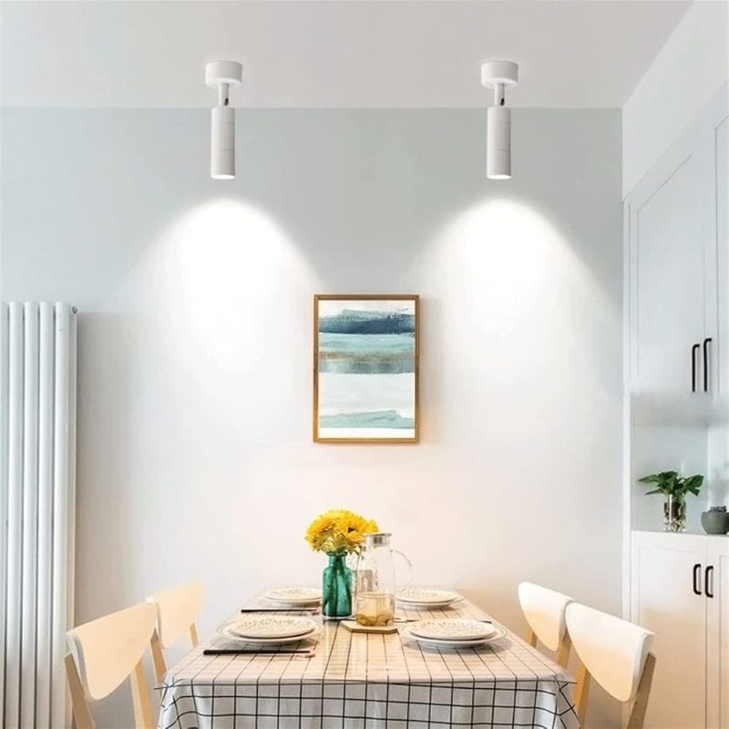 Adjustable Rotatable LED Spot Light Norenza