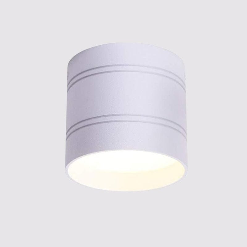 Dimmable COB LED Spotlights 6W-20W for AC110-220V Ceiling Lighting White Norenza