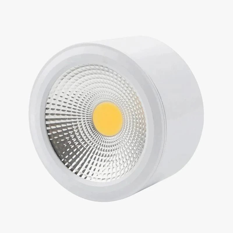Dimmable LED Surface-Mount Spotlights for Interior Decor White Norenza