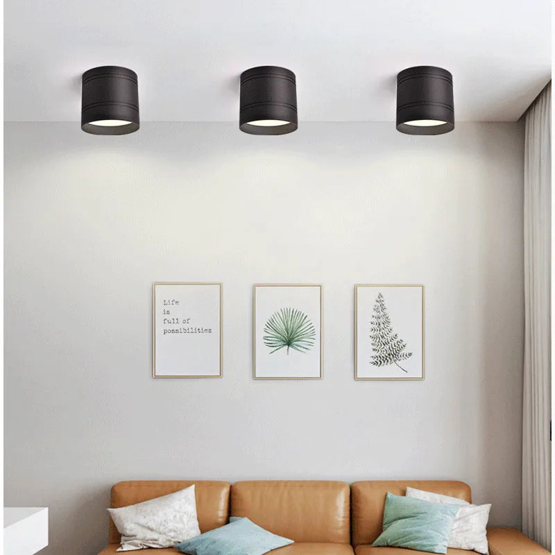 Dimmable COB LED Spotlights 6W-20W for AC110-220V Ceiling Lighting
