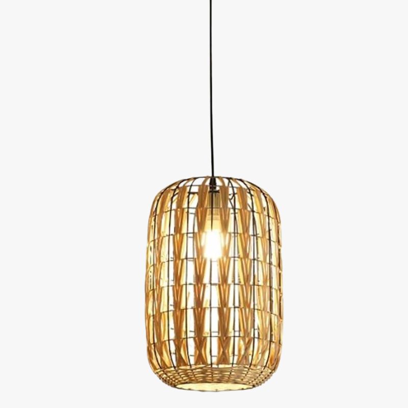 Modern Cage Suspension Light - Cany