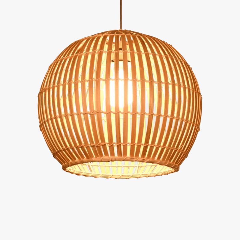 Modern Cage Suspension Light - Cany