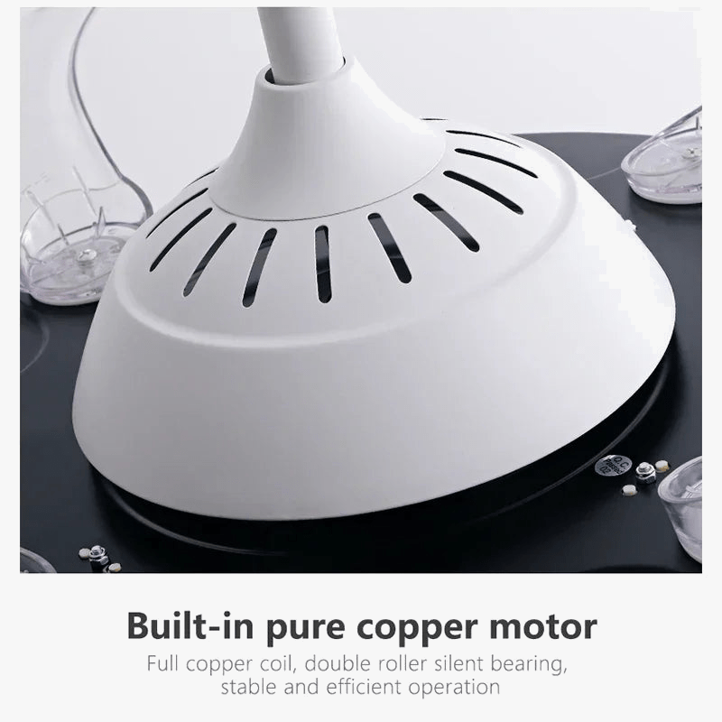 Invisible Ceiling Fan with Light Chandelier for Home Norenza