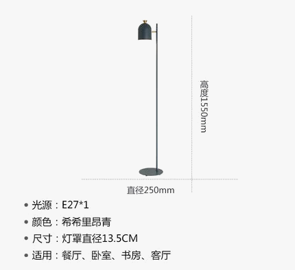 Modern Minimalist Iron Floor Lamp for Nordic Interior Decor