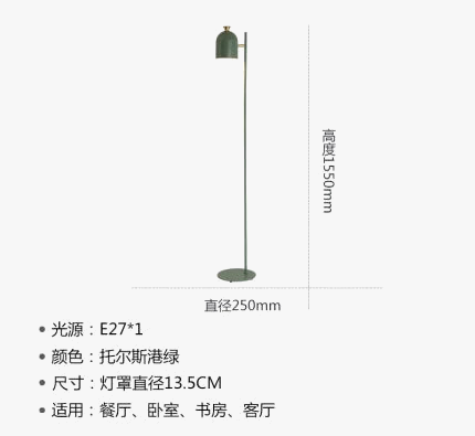 Modern Minimalist Iron Floor Lamp for Nordic Interior Decor