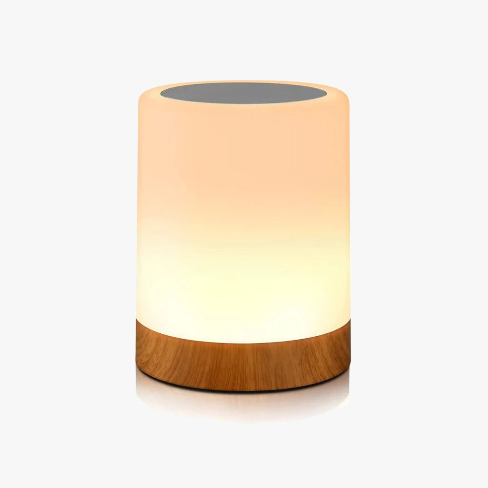 Touch-Sensitive LED Table Lamp with RGB Color Changing
