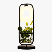 LED Desk Lamp for Reading and Studying with Shade Norenza