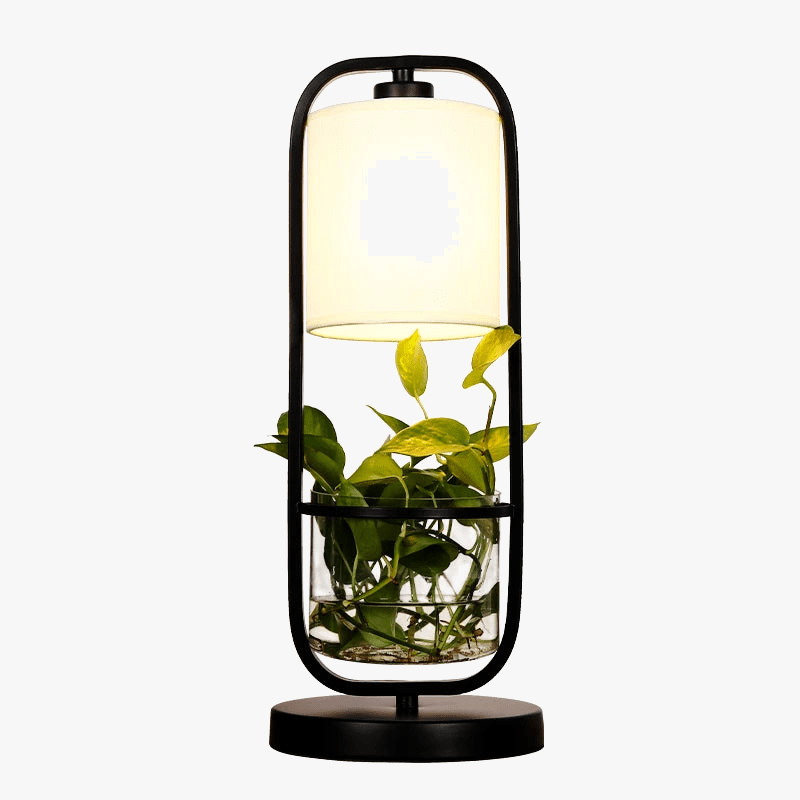 LED Desk Lamp for Reading and Studying with Shade Norenza