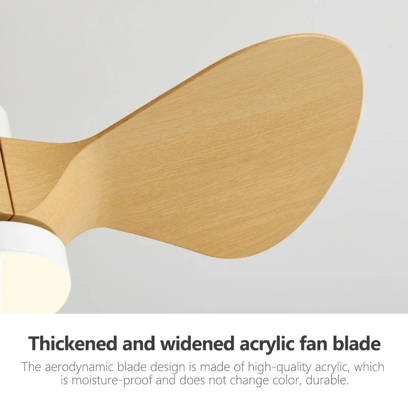 Modern Mini Ceiling Fan with Lights for Kids