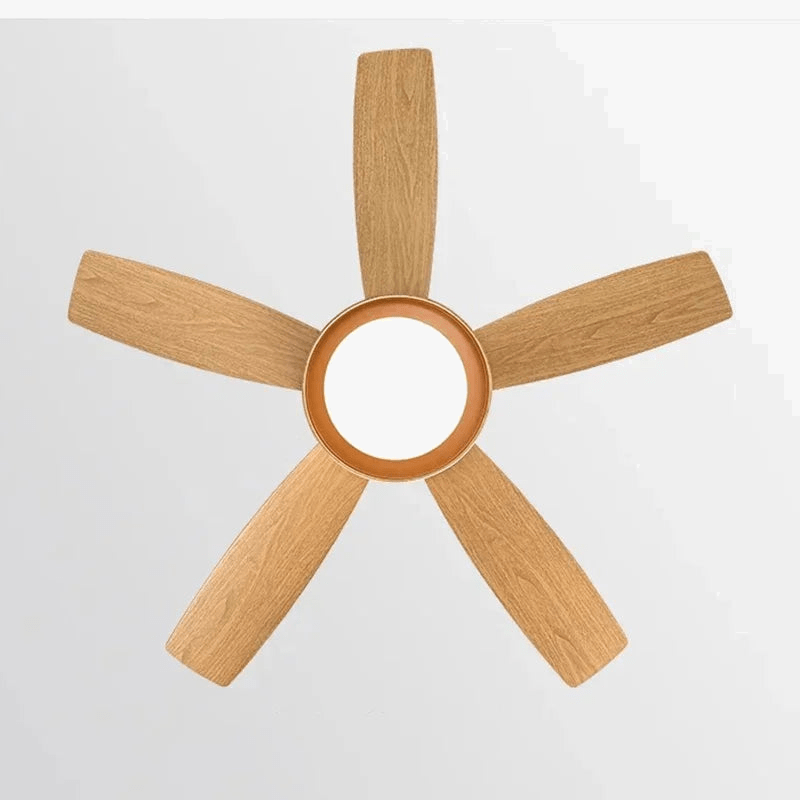 Modern Ceiling Fan with Light for Summer Norenza