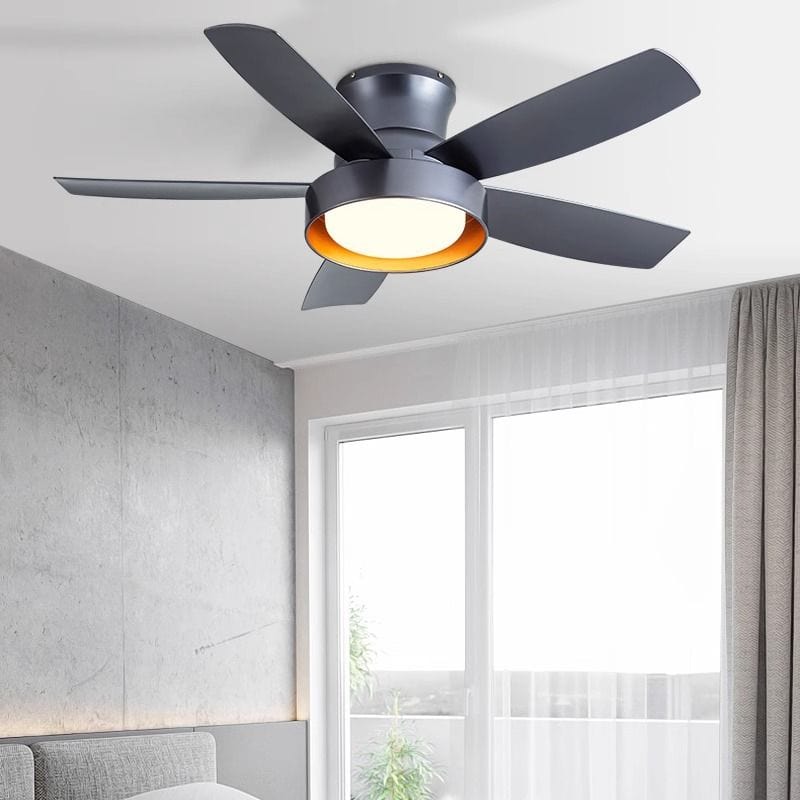Modern Ceiling Fan with Light for Summer Norenza