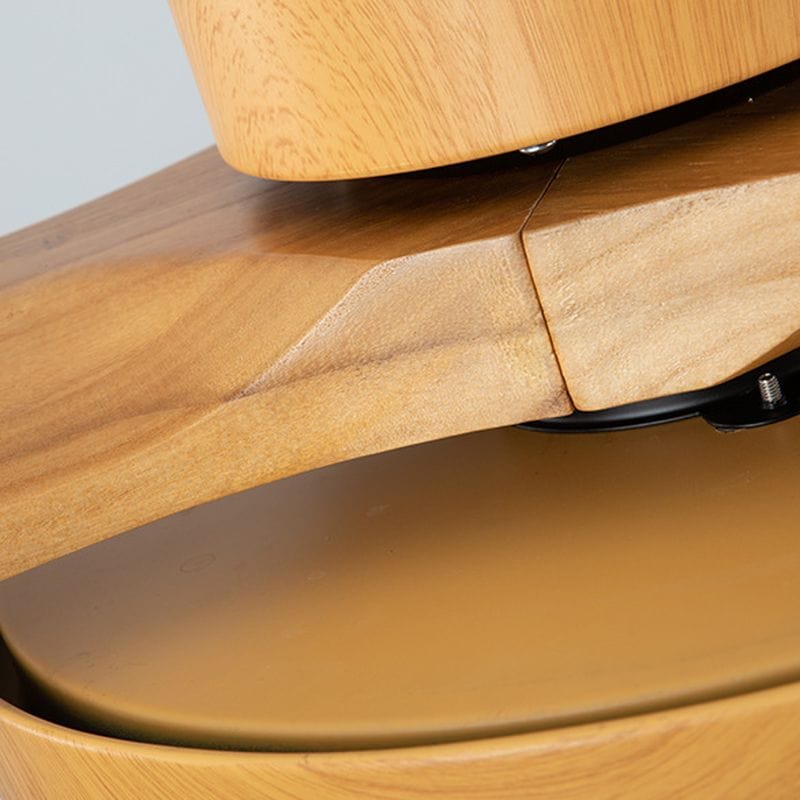 Modern Ceiling Fan with Remote, Adjustable LED Light Norenza