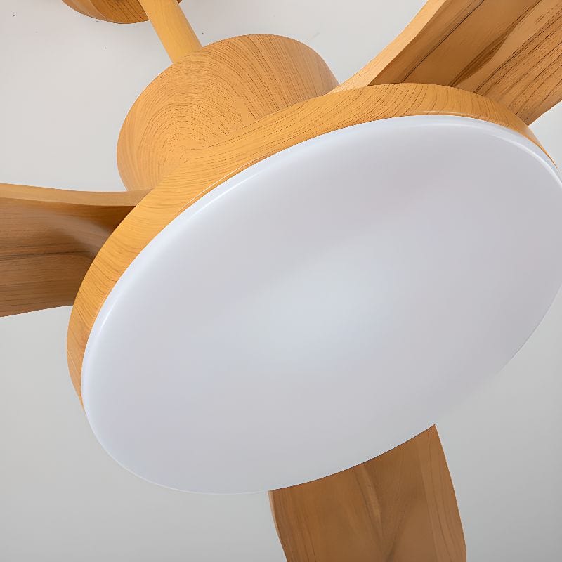 Modern Ceiling Fan with Remote, Adjustable LED Light Norenza