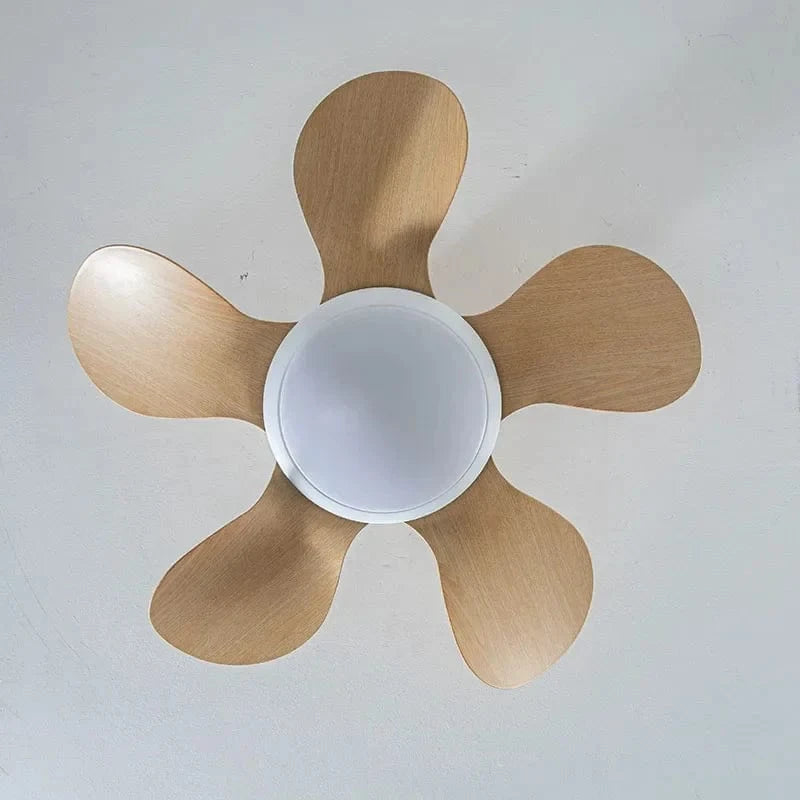 Modern Ceiling Fan with Remote Control for Home Norenza
