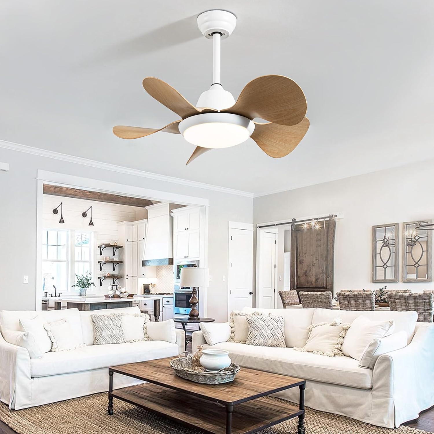 Modern Ceiling Fan with Remote Control for Home Norenza