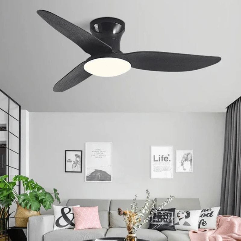 Modern Ceiling Fans with DC Motor and Remote Control Black Norenza