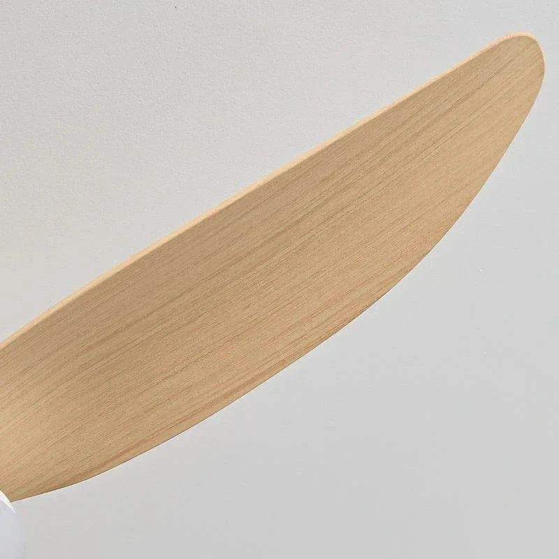 Modern Ceiling Fans with DC Motor and Remote Control Norenza