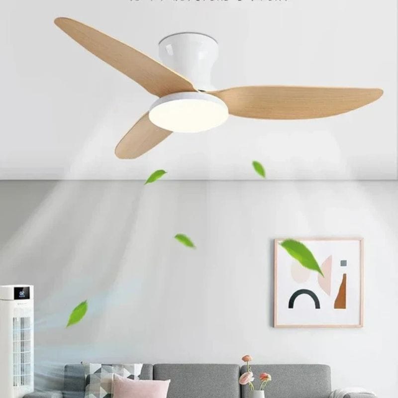 Modern Ceiling Fans with DC Motor and Remote Control Norenza