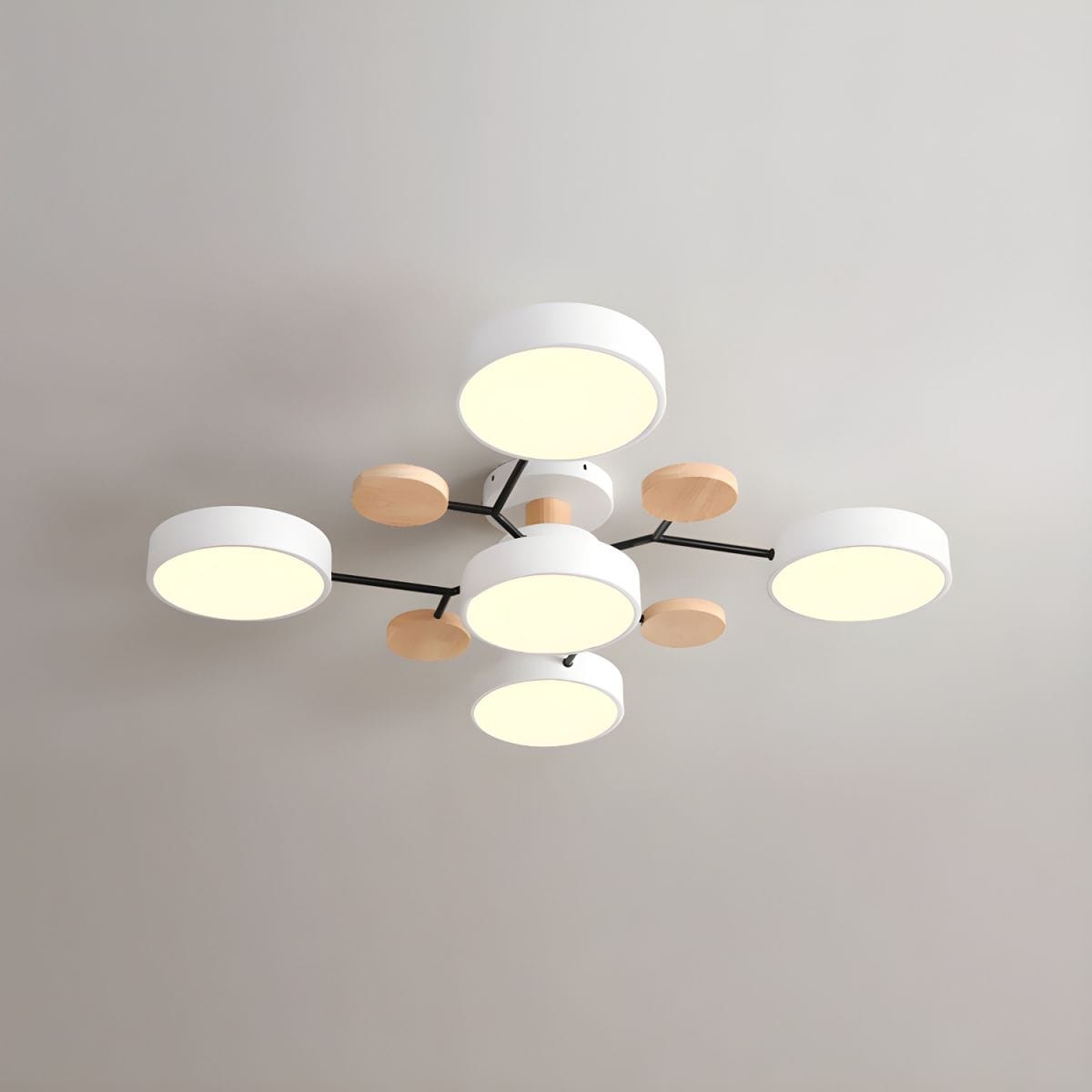 Modern Decorative Indoor LED Ceiling Light White / 4 heads Norenza
