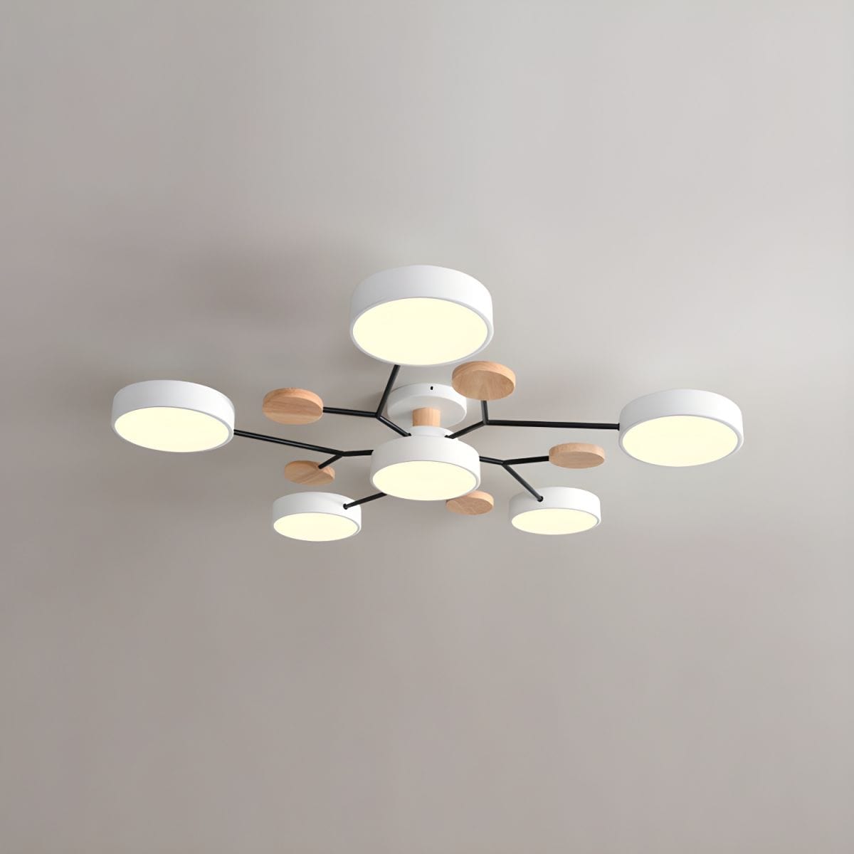 Modern Decorative Indoor LED Ceiling Light White / 6 heads Norenza