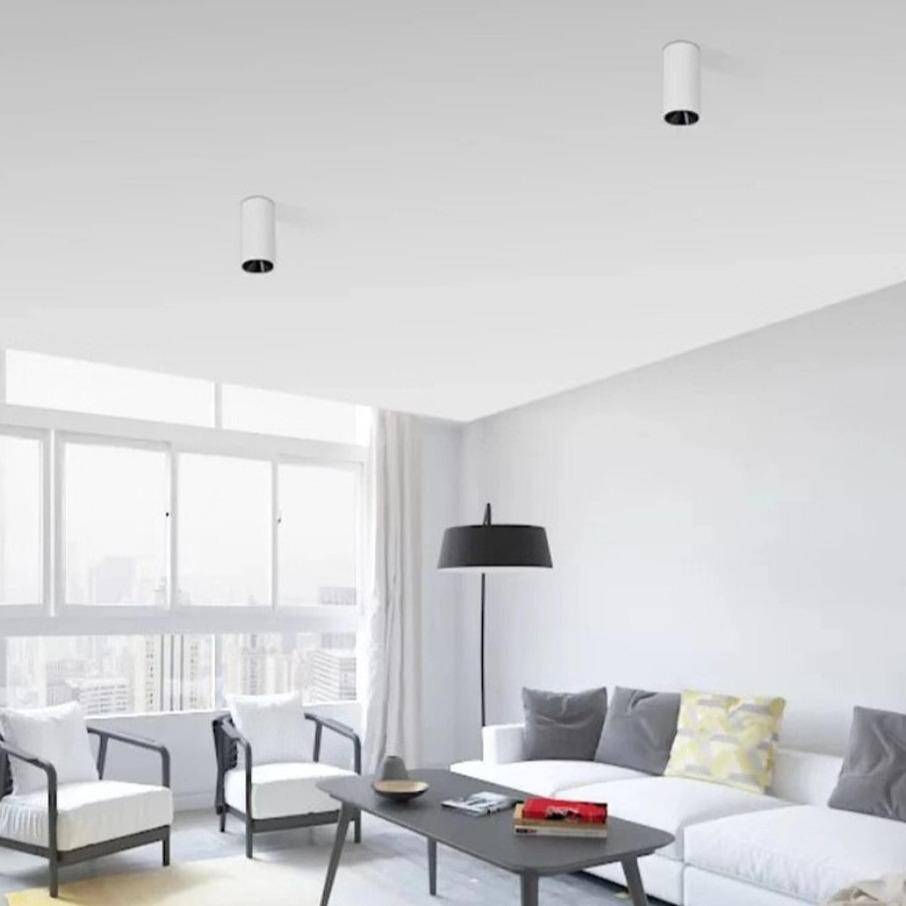 Modern LED Cylinder Spotlight in Black or White Norenza