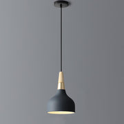 Modern LED Pendant Light with Colorful Metal Shade Black Norenza