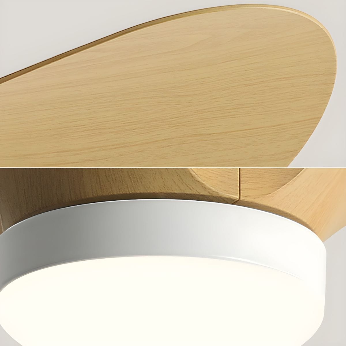 Modern Mini Ceiling Fan with Lights for Kids Norenza