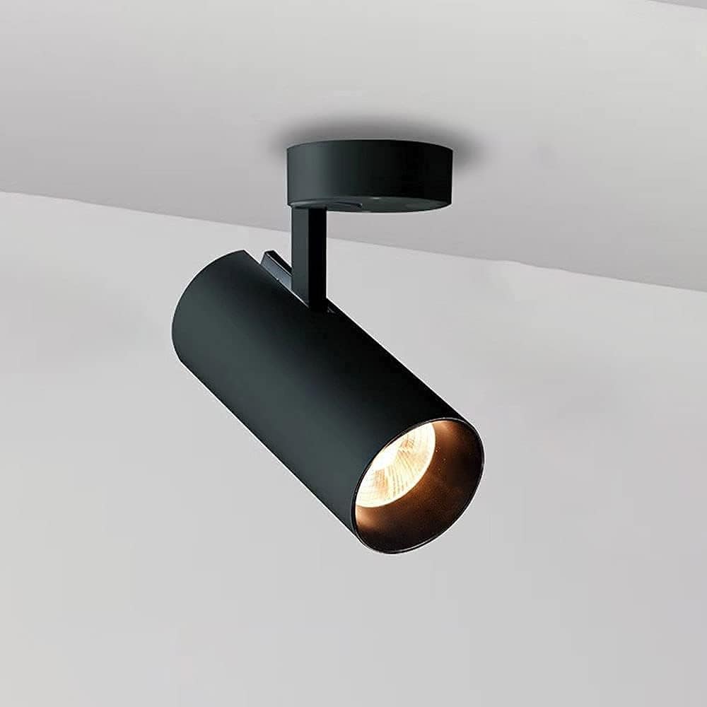 Modern Surface-Mounted LED Ceiling Spot Light Black Norenza