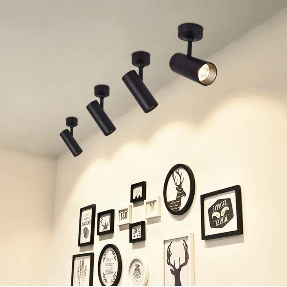 Modern Surface-Mounted LED Ceiling Spot Light Norenza