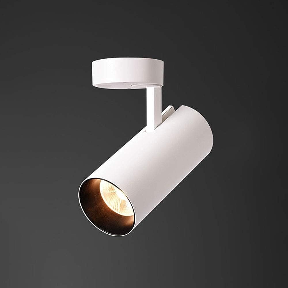 Modern Surface-Mounted LED Ceiling Spot Light White Norenza