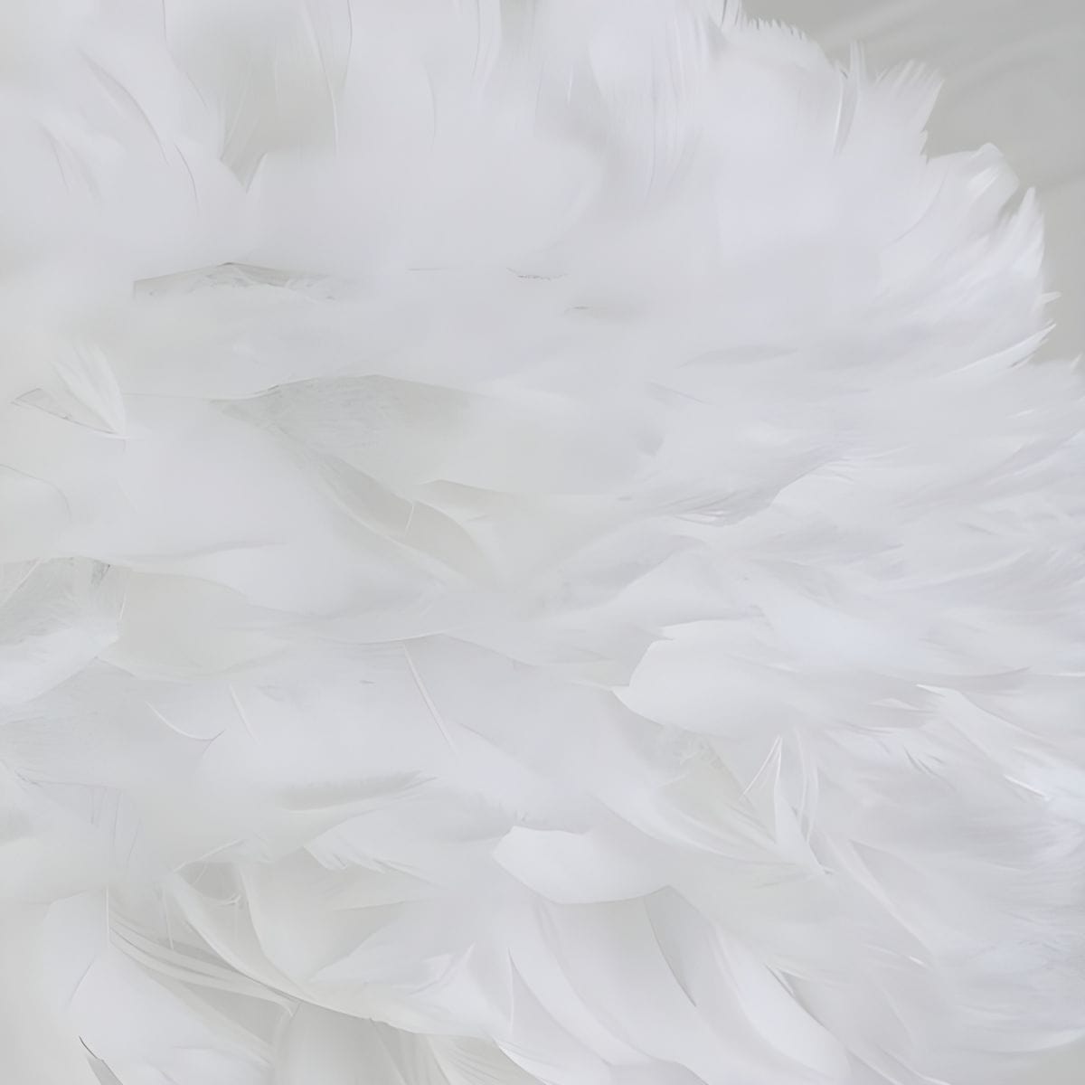 Oval LED Fairy Feather Pendant Light Norenza