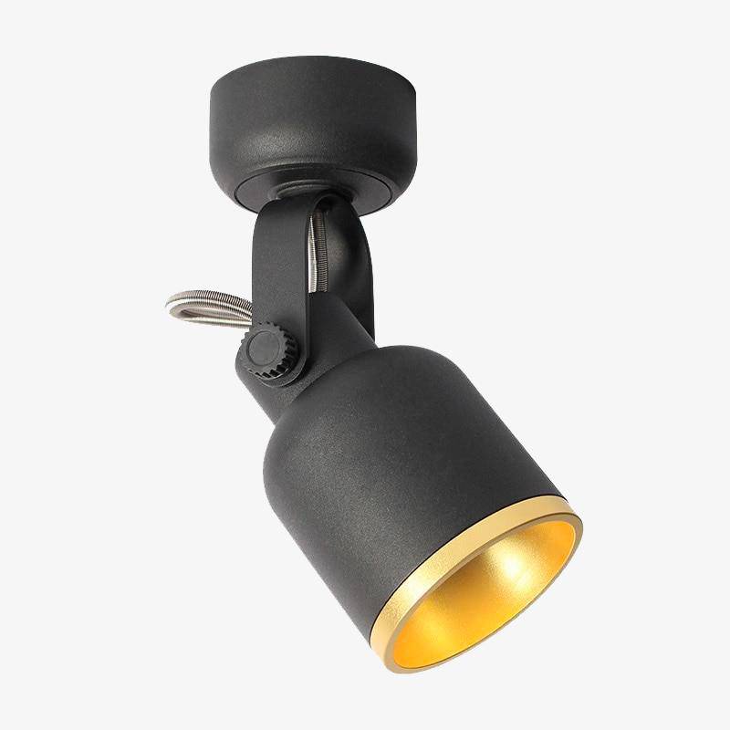 Adjustable LED Spot Light Ceiling Fixture for Indoor Use