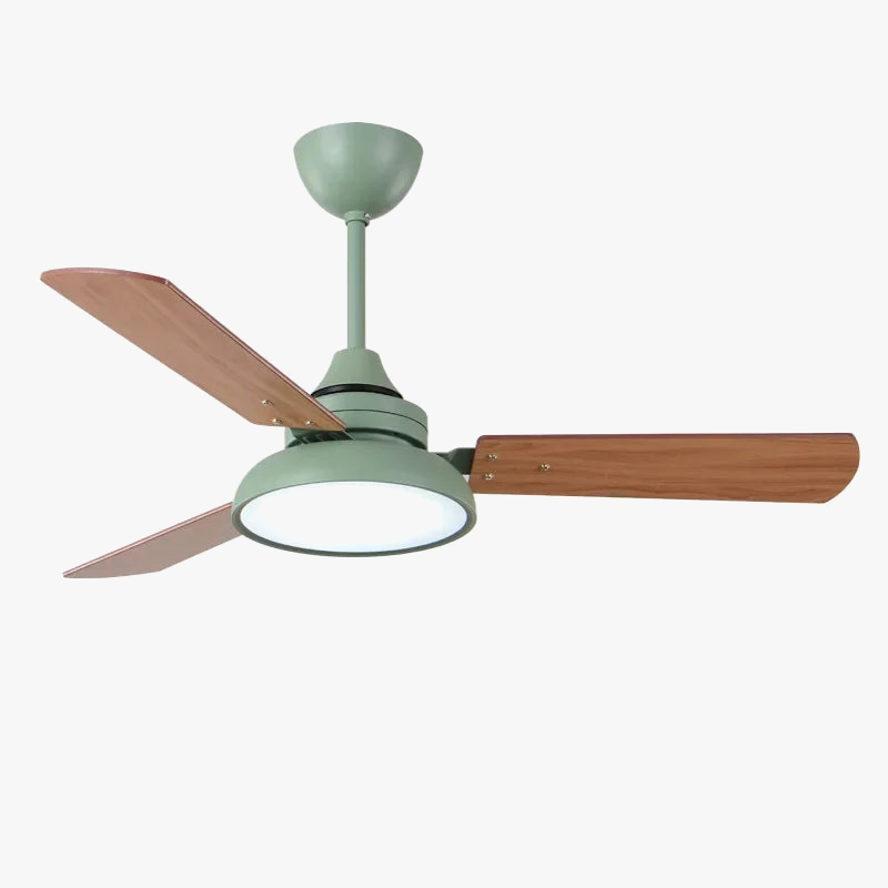 Modern Ceiling Fan with Remote Control and Integrated Lighting