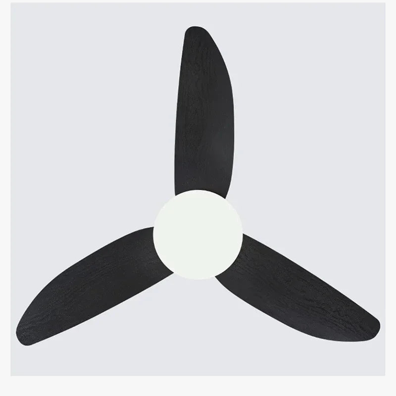 Modern Ceiling Fan Light with Remote Control – Adjustable Nordic Design