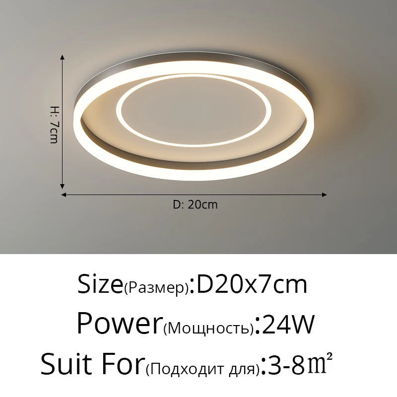 Modern Nordic Simple LED Luxury Ceiling Light