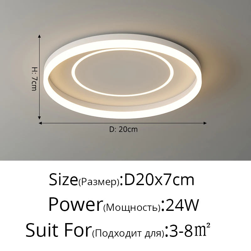 Modern Nordic Simple LED Luxury Ceiling Light